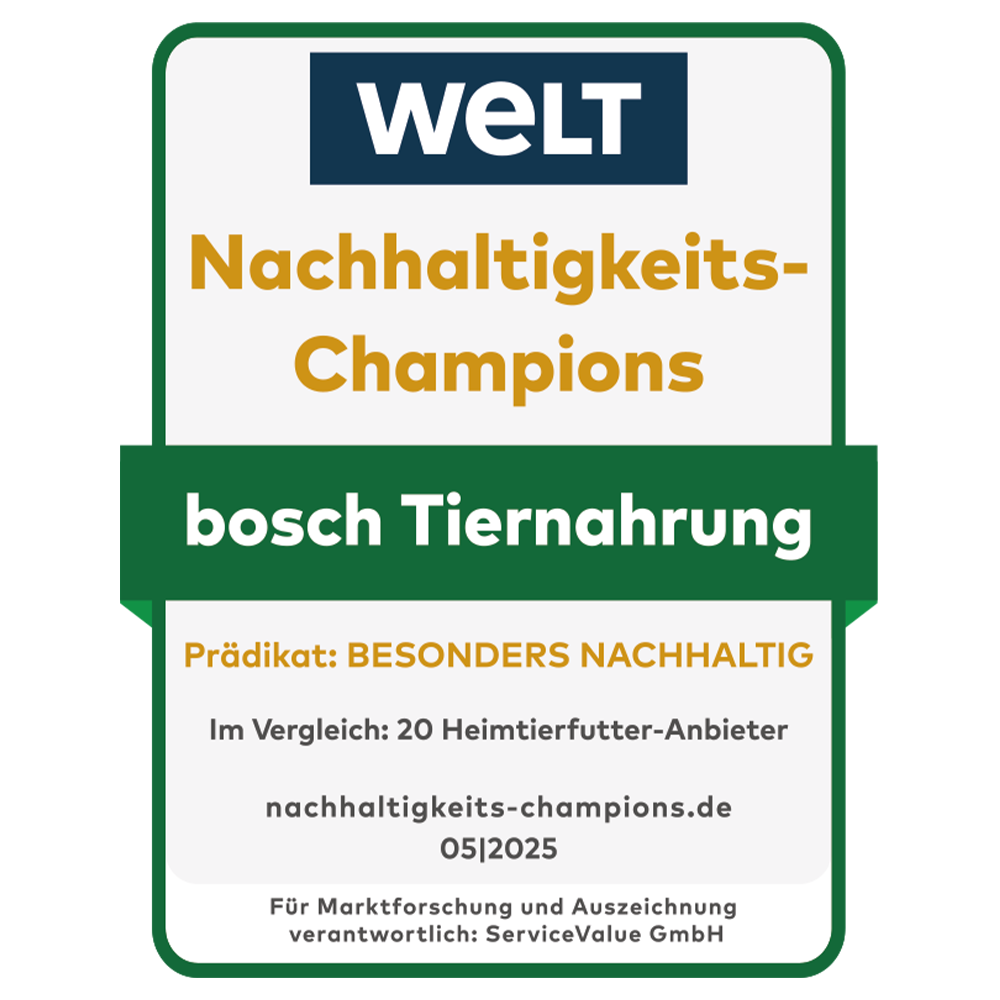 Siegel Nachhaltigkeits-Champion
