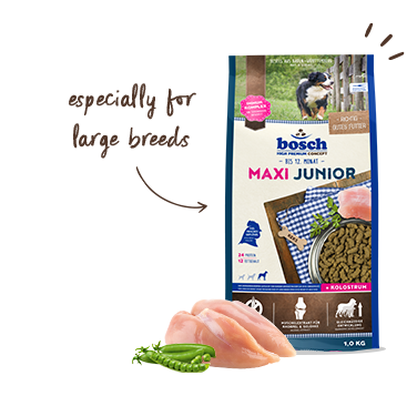 Our puppy food for large breeds