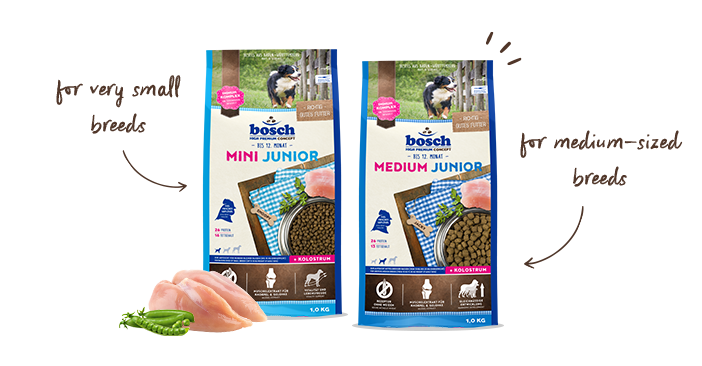 How long puppy food: small and medium breeds