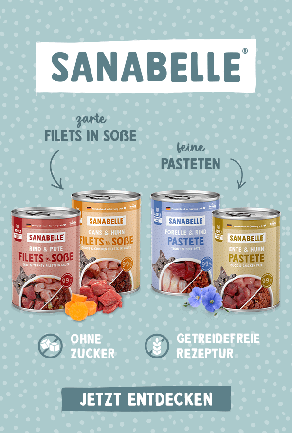 Sanabelle Nassfutter für Deine Katze - jetzt entdecken!