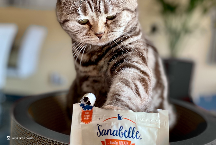 Sanabelle Katzensnacks