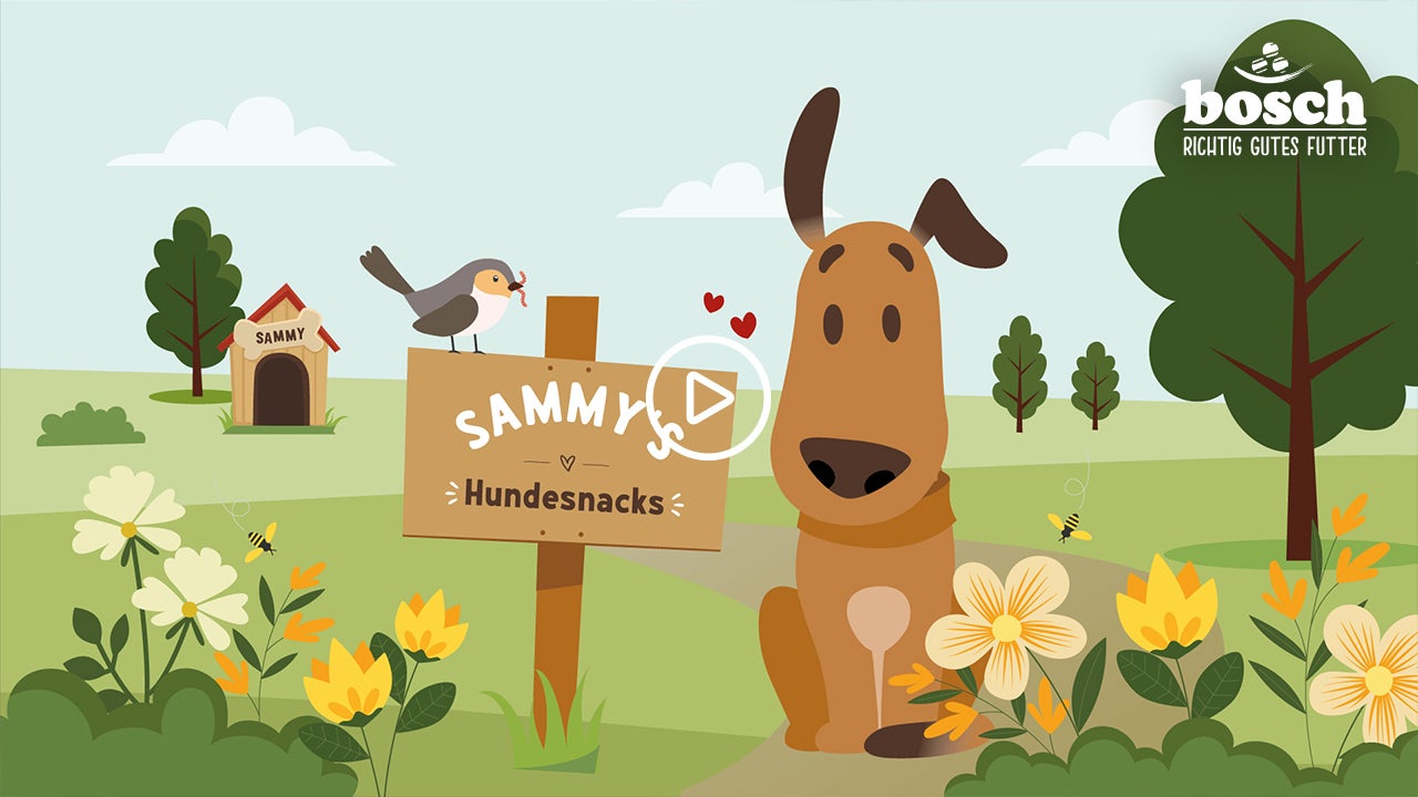 Sammy's Hundesnacks