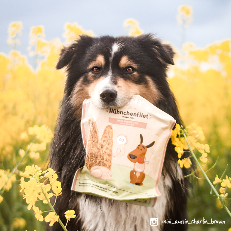 Sammy's Hundesnacks - Tipps zur Fütterung | bosch Tiernahrung