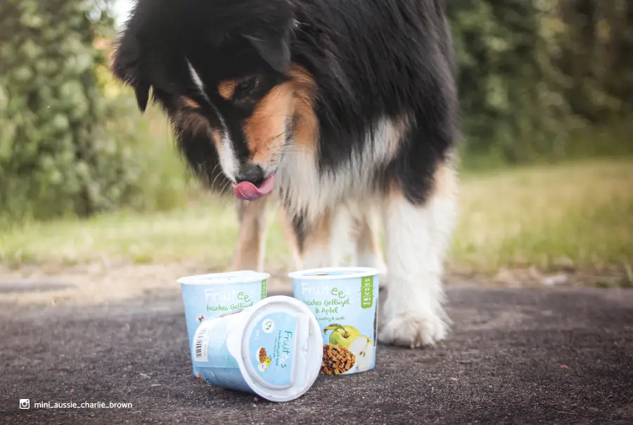 Fruitees Hundesnacks