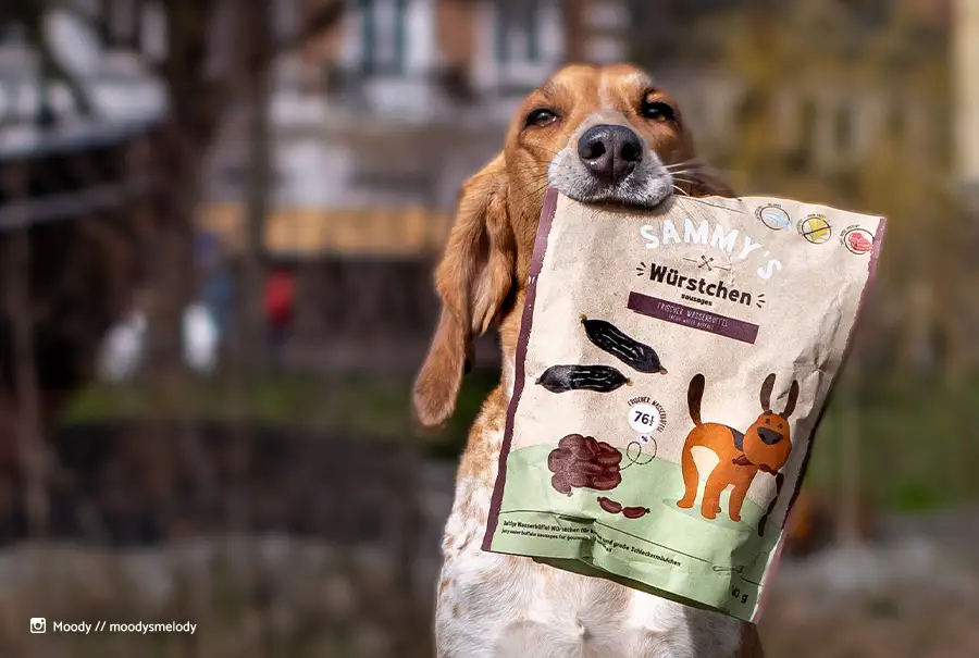 Sammy's Hundesnacks