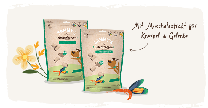 Fütterung Hundesnacks: Sammy's Gelenkhappen