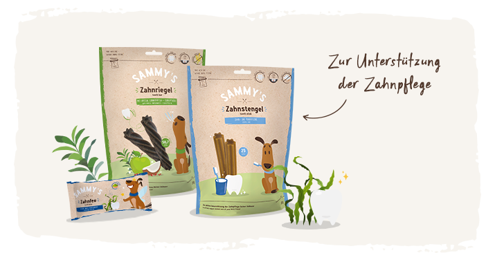 Fütterung Hundesnacks: Sammy's Zahnprodukte