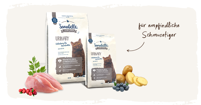 Sanabelle Urinary: Das passende Katzenfutter bei empfindlichen Harnorganen Sanabelle Urinary: Das passende Katzenfutter bei empfindlichen Harnorganen